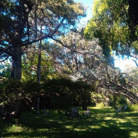 Cabana En Quinta La Aurora Mina Clavero Buitenkant foto