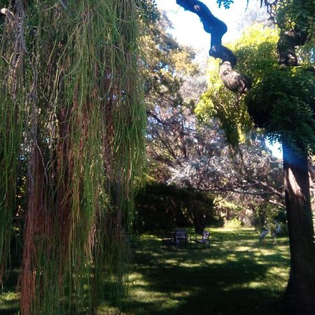 Cabana En Quinta La Aurora Mina Clavero Buitenkant foto